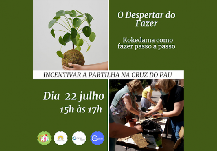 Oficina Kokedama Como Fazer